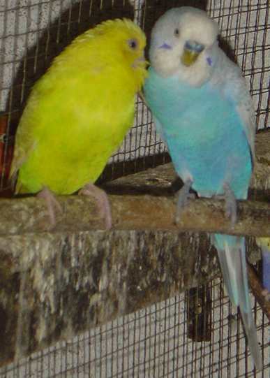 cple 001.jpg