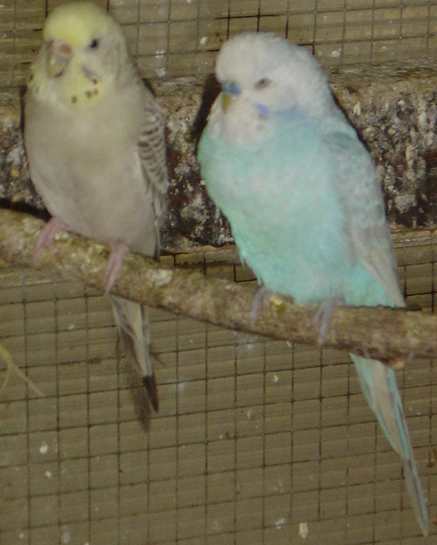 cple 010.jpg