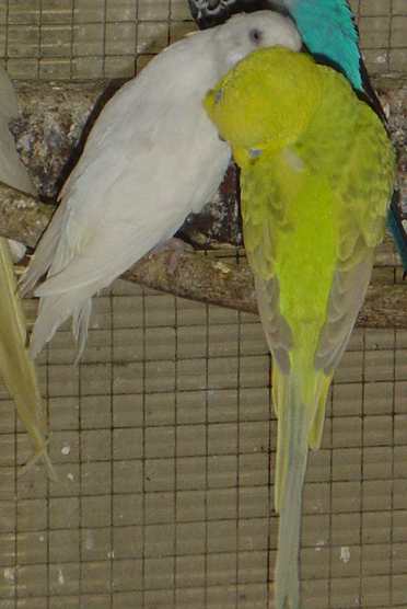 cple 015.jpg