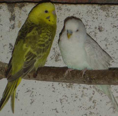 cple 020.jpg