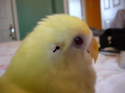 bb.jpg