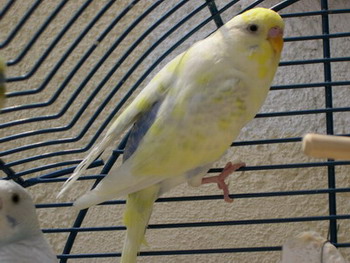 DSCN0047.jpg
