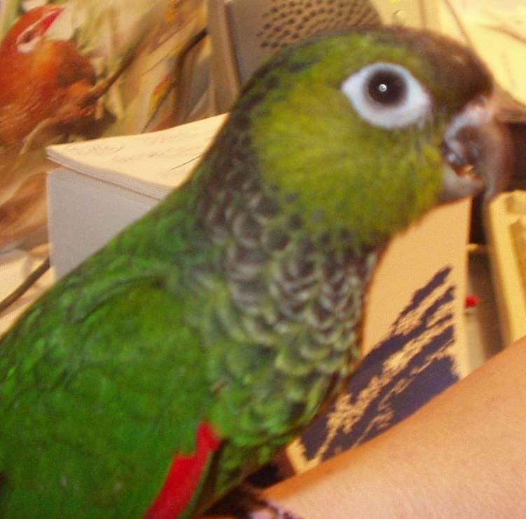 P1010044rupi.jpg