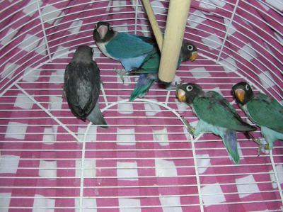 DSCN1333.jpg