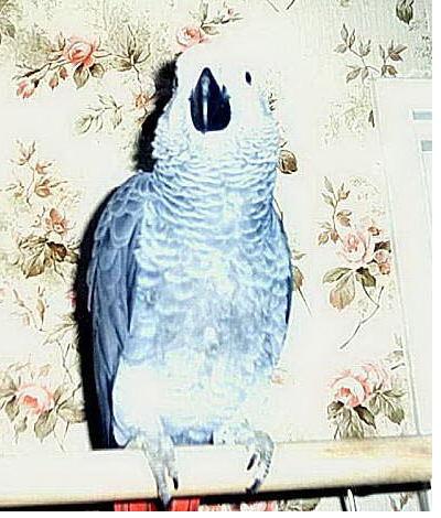 loisir 007.jpg