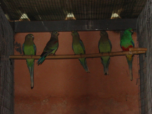 131-3200_IMG.JPG
