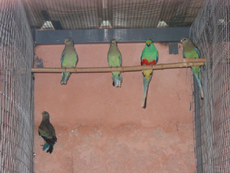 131-3149_IMG.JPG