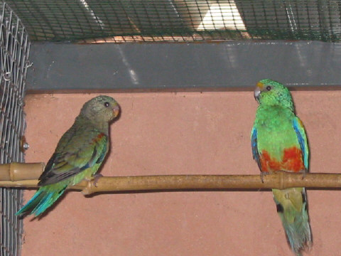 132-3236_IMG.JPG