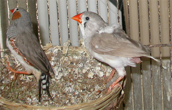 MD couple DP.jpg