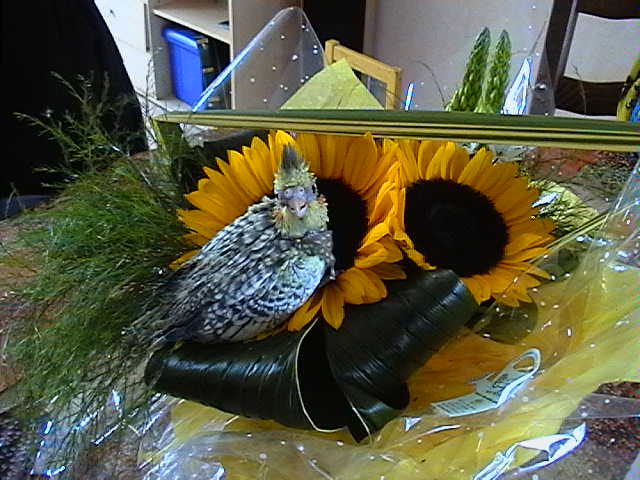 12-07-04.1.jpg