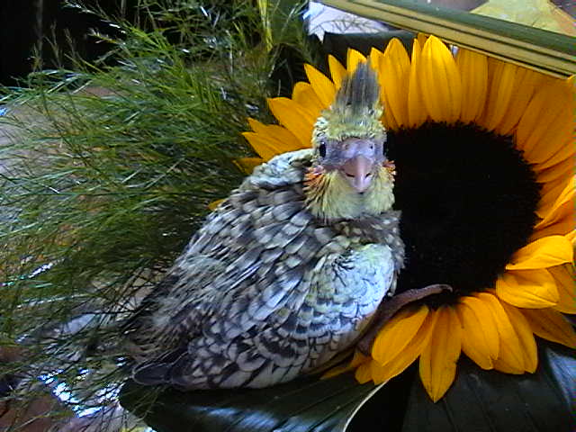 12-07-04.2.jpg