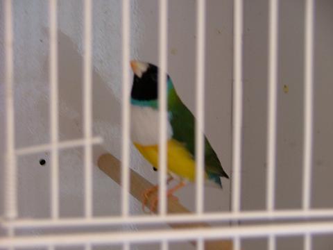 DSCF0343.JPG