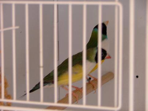DSCF0348.JPG
