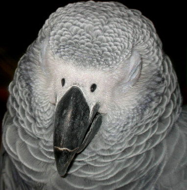 sieste neuf.jpg