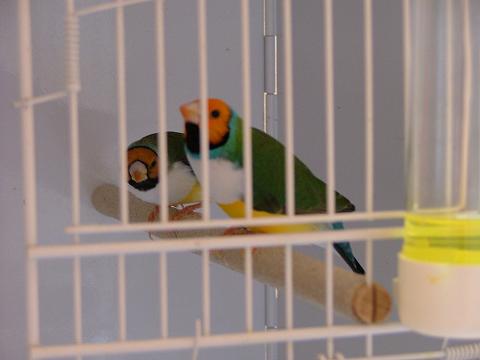 DSCF0338.JPG