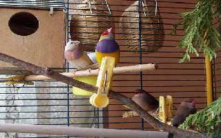 oiseau 053.jpg