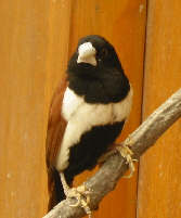 100-0020_IMG.JPG