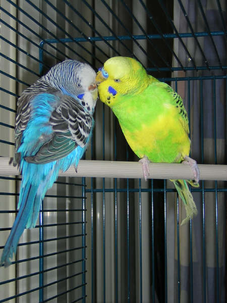 mike et grany.jpg