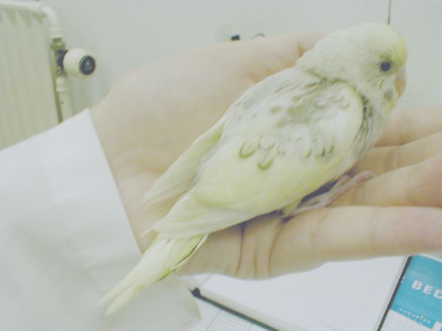 P1010039.JPG