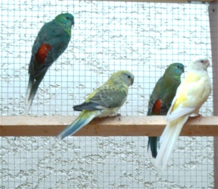 famille crp.jpg