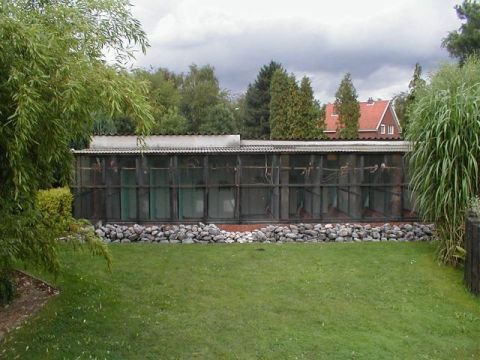 Bastiaens1.jpg