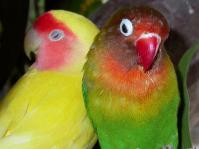 photo.jpg