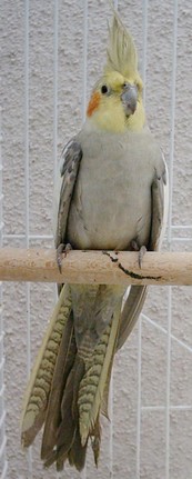 PIC00001.JPG