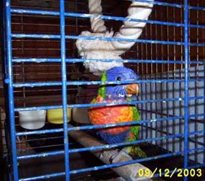 LORI 001.jpg