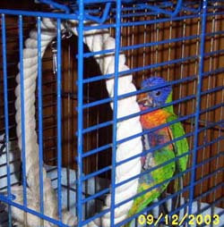 LORI 003.jpg