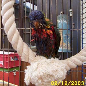 LORI 008.jpg