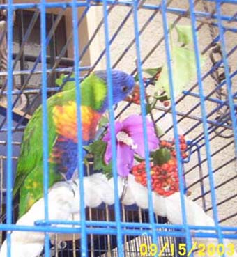 LORI 011.jpg