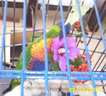 LORI 013.jpg