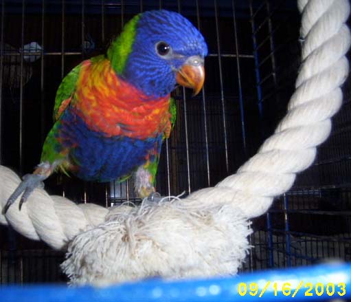 LORI 014.jpg