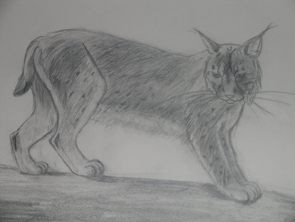 Photos numériques 088 copie.jpg