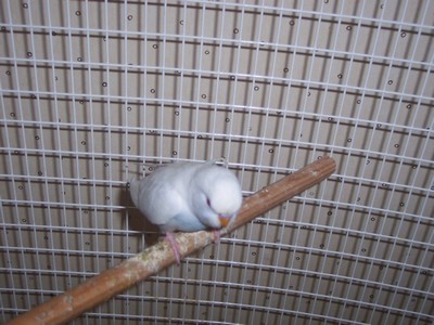 100_0110.JPG
