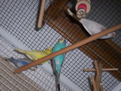 100_0106.JPG