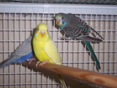 100_0111.JPG