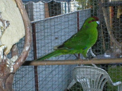 P1010005.JPG