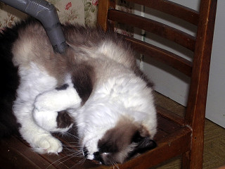 Photo 020.jpg