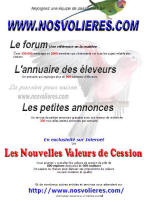 Affiche nvc expositions oiseaux