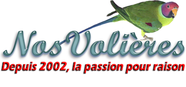 Logo Nos volieres - Le site des amateurs d'oiseaux de cage et de voliere
