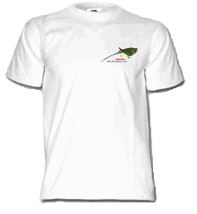 Le teeshirt NVC